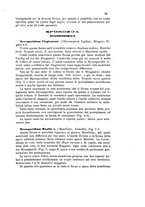 giornale/UM10004053/1891-1892/unico/00000037