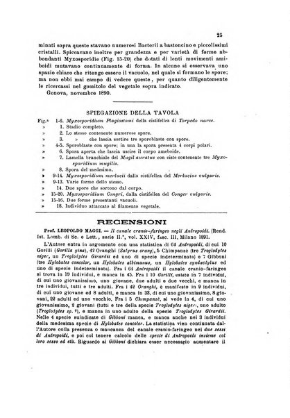 Bollettino scientifico