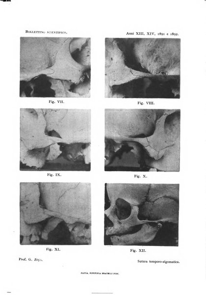 Bollettino scientifico