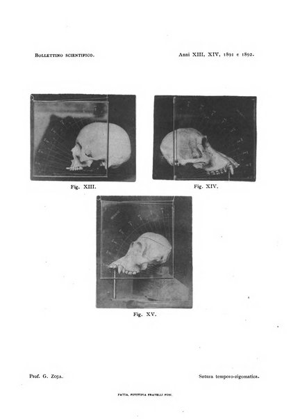 Bollettino scientifico