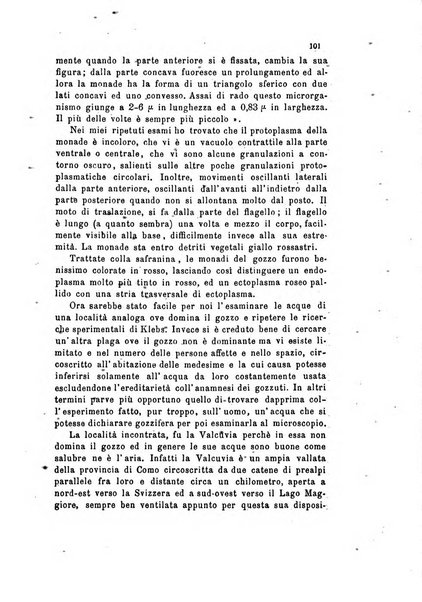 Bollettino scientifico