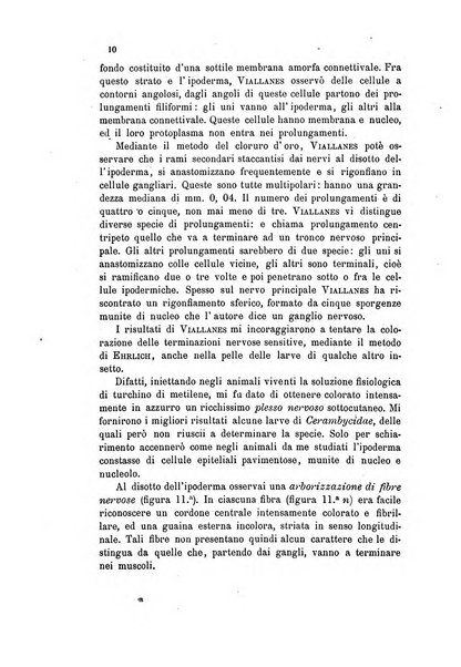 Bollettino scientifico