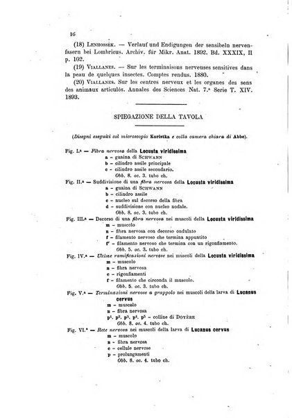 Bollettino scientifico