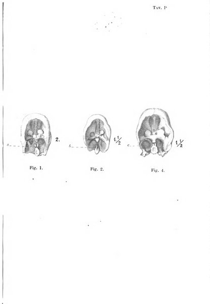 Bollettino scientifico