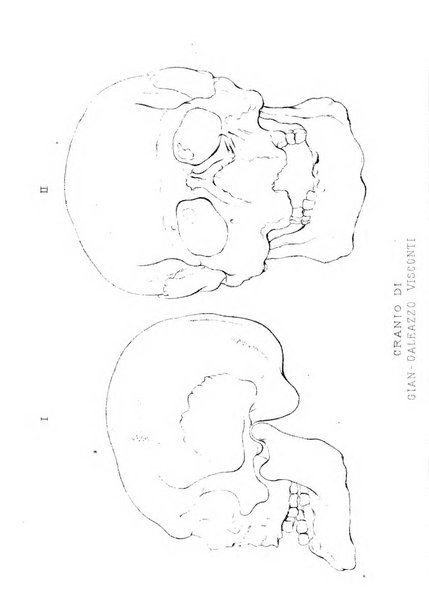 Bollettino scientifico