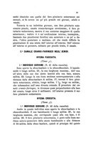 giornale/UM10004053/1895-1896/unico/00000169