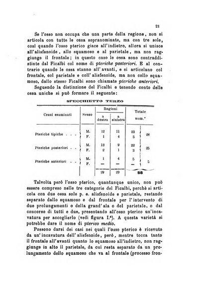 Bollettino scientifico