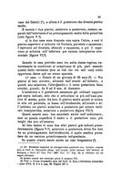 giornale/UM10004053/1895-1896/unico/00000177