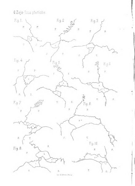 Bollettino scientifico