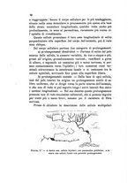 giornale/UM10004053/1895-1896/unico/00000212