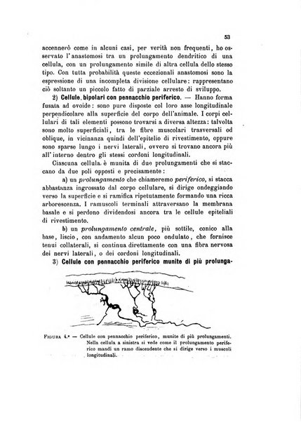 Bollettino scientifico