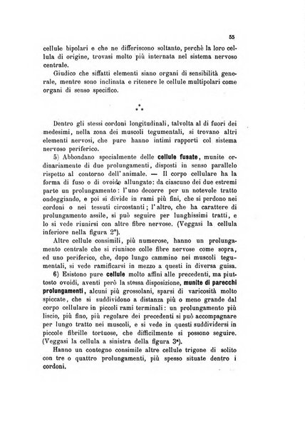 Bollettino scientifico