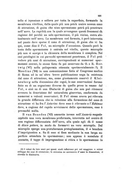 Bollettino scientifico