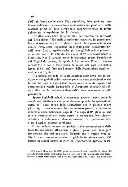 Bollettino scientifico