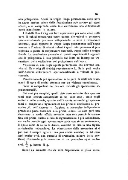 Bollettino scientifico