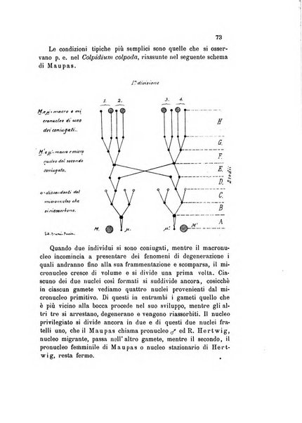 Bollettino scientifico