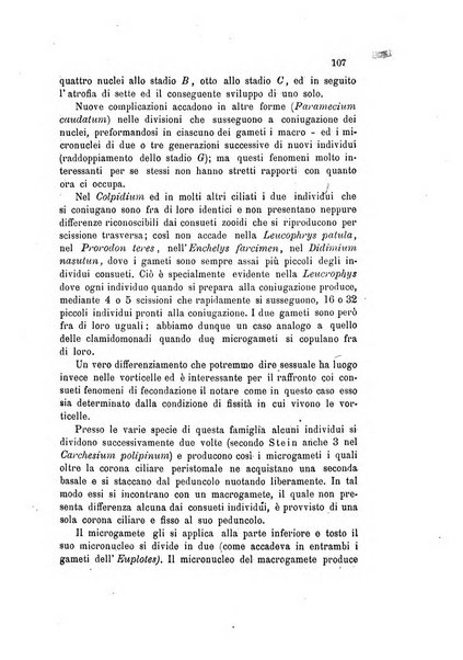 Bollettino scientifico