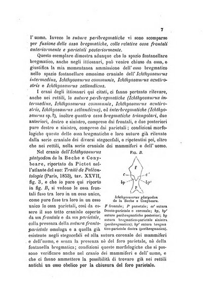 Bollettino scientifico