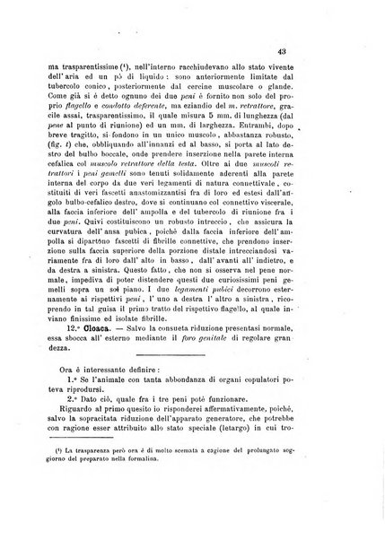 Bollettino scientifico