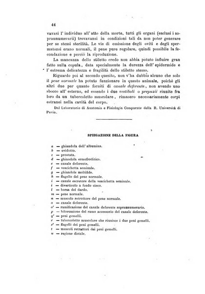 Bollettino scientifico