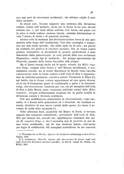 Bollettino scientifico