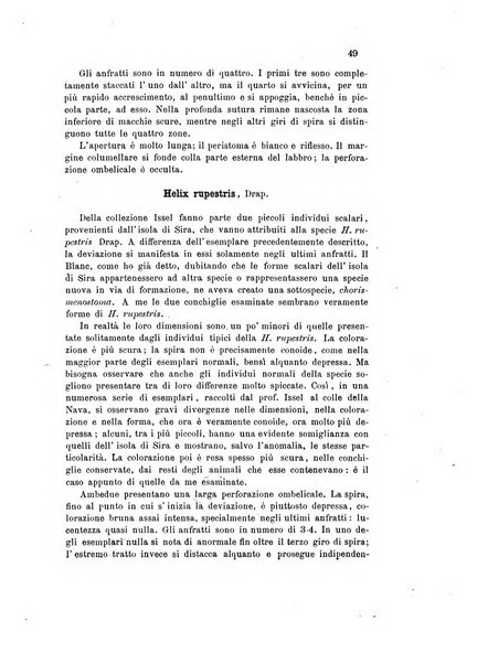 Bollettino scientifico