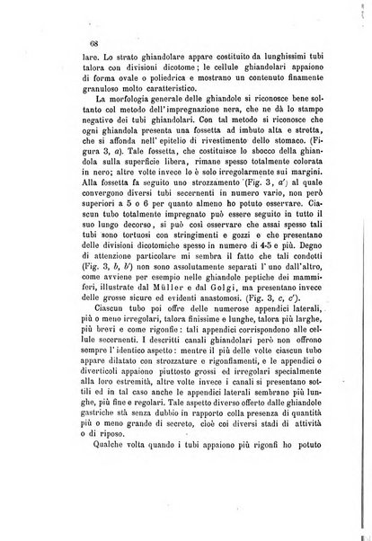 Bollettino scientifico