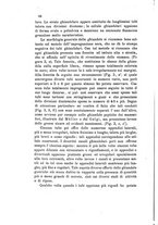 giornale/UM10004053/1897-1898/unico/00000258