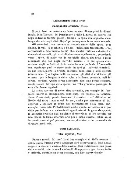 Bollettino scientifico