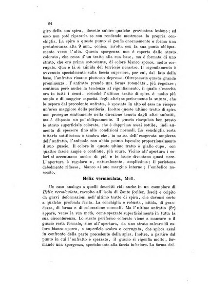 Bollettino scientifico