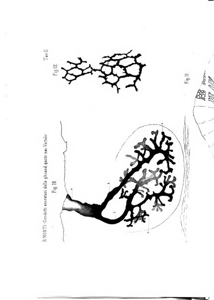 Bollettino scientifico