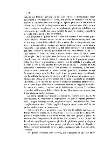 Bollettino scientifico