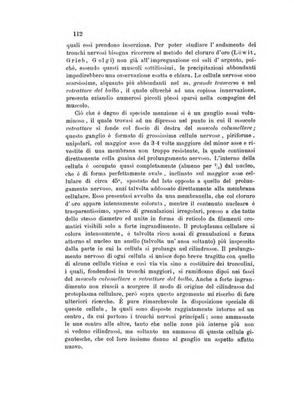 Bollettino scientifico