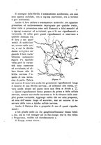 giornale/UM10004053/1899/unico/00000013