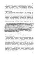 giornale/UM10004053/1899/unico/00000015