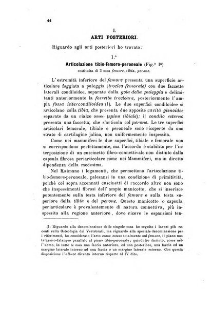 Bollettino scientifico