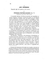 giornale/UM10004053/1899/unico/00000056