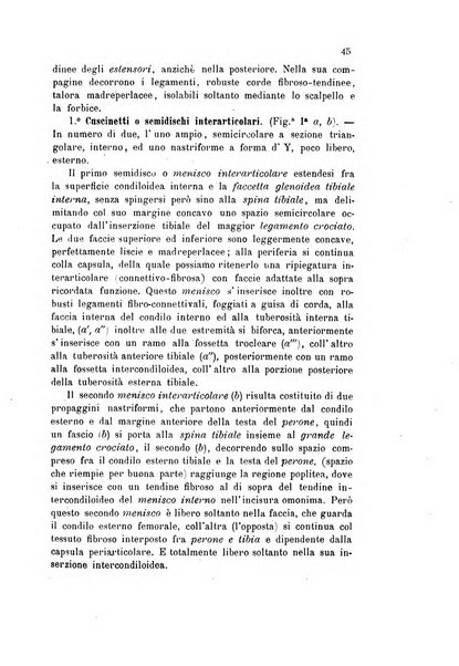 Bollettino scientifico