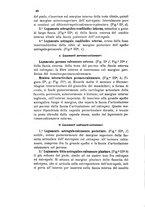 giornale/UM10004053/1899/unico/00000060