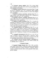 giornale/UM10004053/1899/unico/00000062