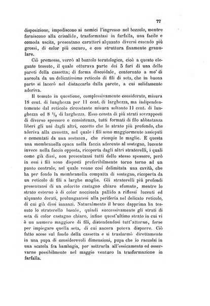 Bollettino scientifico