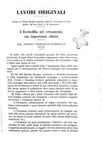 giornale/UM10004251/1928/unico/00000241