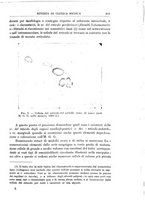 giornale/UM10004251/1928/unico/00000529