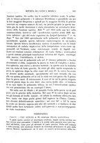 giornale/UM10004251/1928/unico/00001031