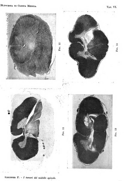 Rivista di clinica medica