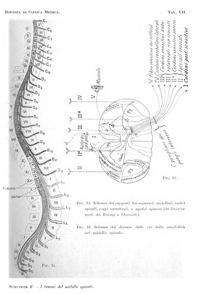 Rivista di clinica medica