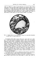 giornale/UM10004251/1933/unico/00000649