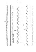 giornale/UM10004251/1940/A.40-Supplemento/00000034