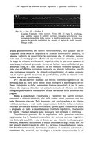 giornale/UM10004251/1940/A.40-Supplemento/00000043