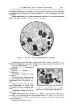 giornale/UM10004251/1940/A.41/00000145